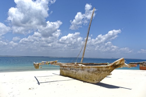 Kenya - Watamu: attenzione al SOL…LEONE